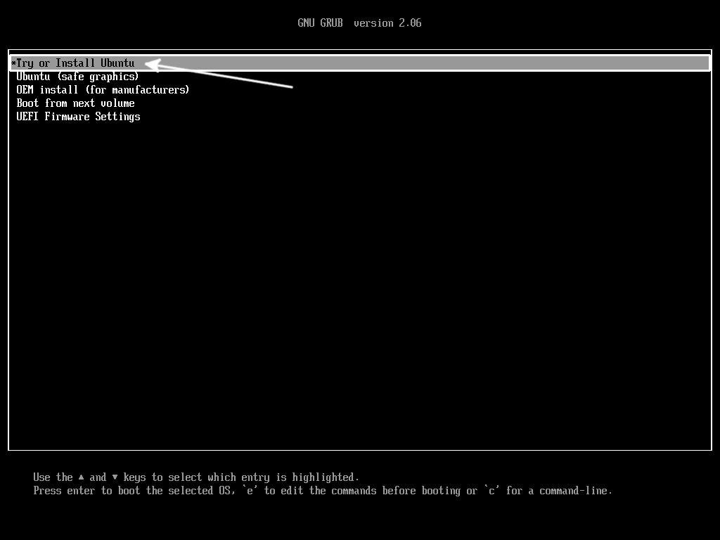 Ubuntu Desktop 22.04 - Installation Initial Screen