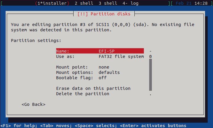Home/Small Office Debian Server - EFI Partition Options