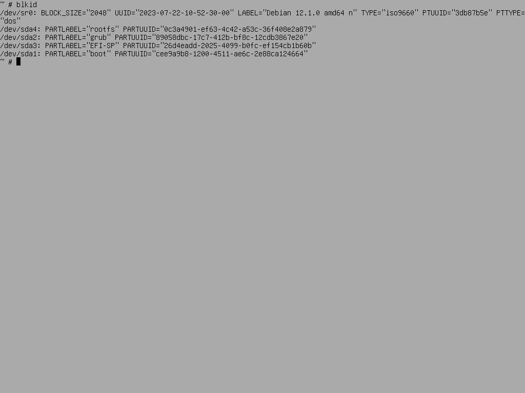 Debian Disk Encryption - List Partitions