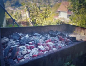 Image is displaying a high-heat charcoal grill with a nature landscape in the background.