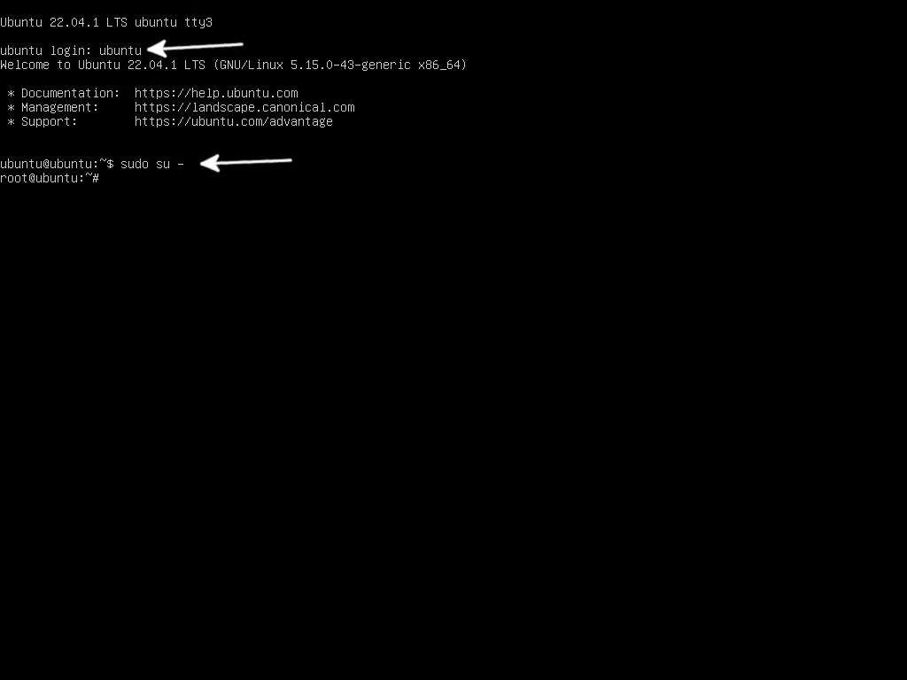 Linux terminal application is running with "sudo su -" command executed.