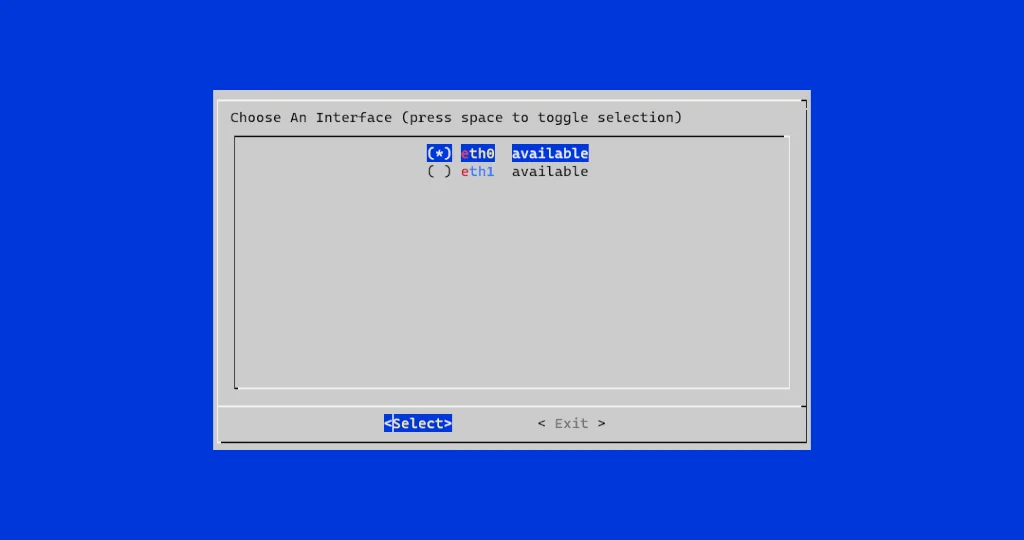 The pi-hole automated installer is running and requesting an interface to listen on.