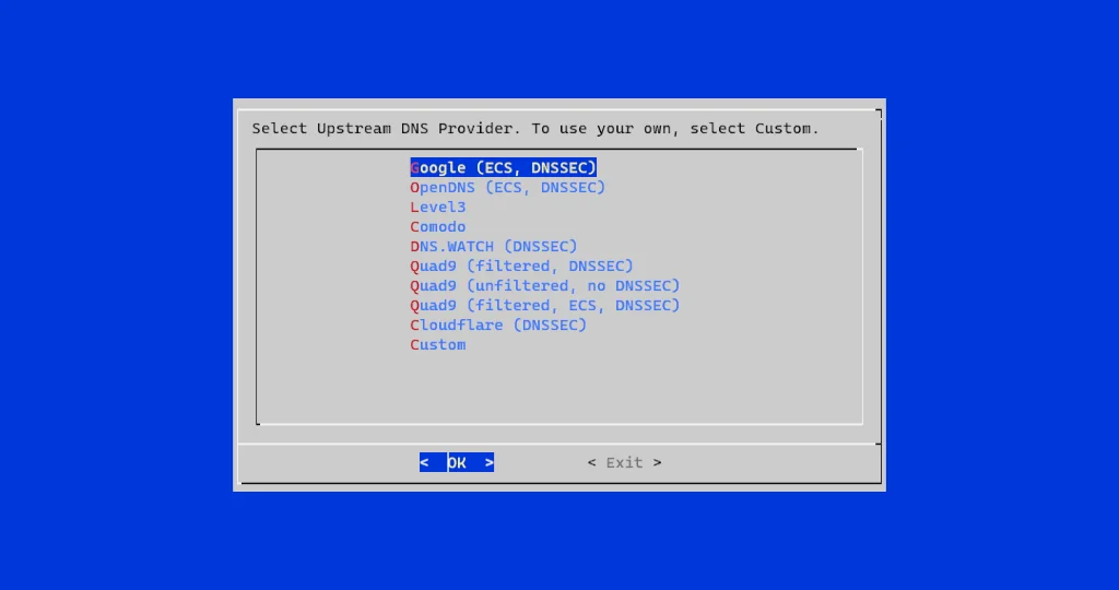 The pi-hole automated installer is running and requesting an upstream DNS provider.